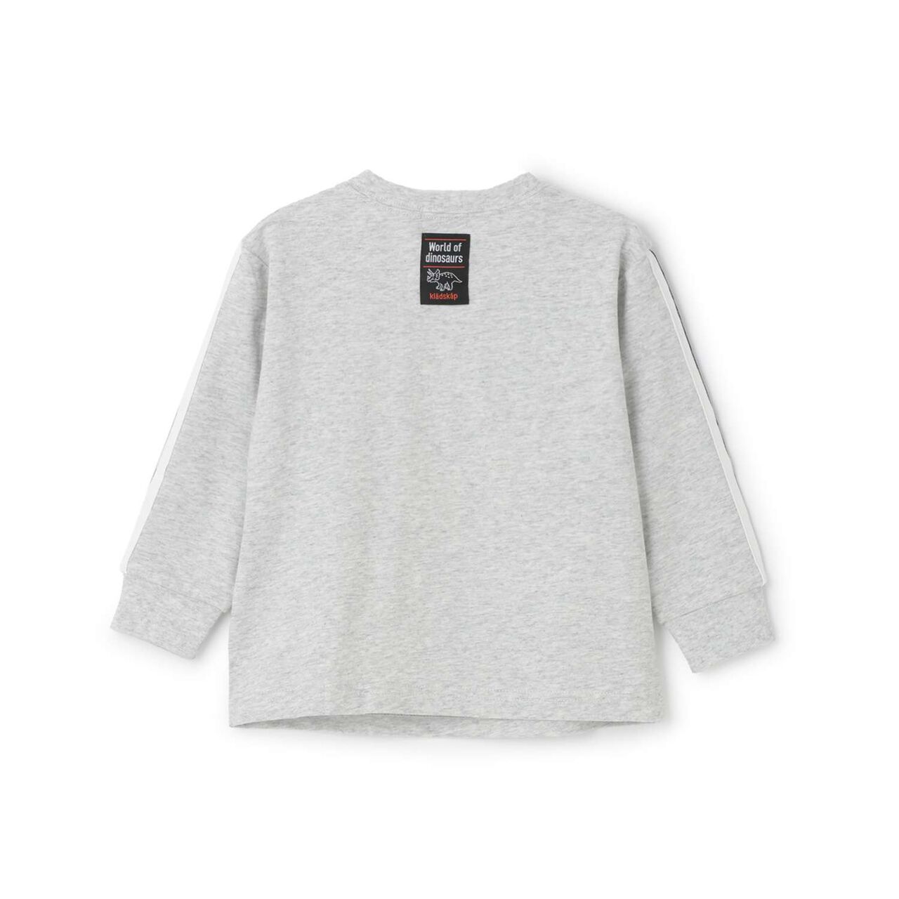 Dinosaur Appliqu&eacute; Sleeve Line Long-Sleeve T-Shirt,Top gray, large image number 1