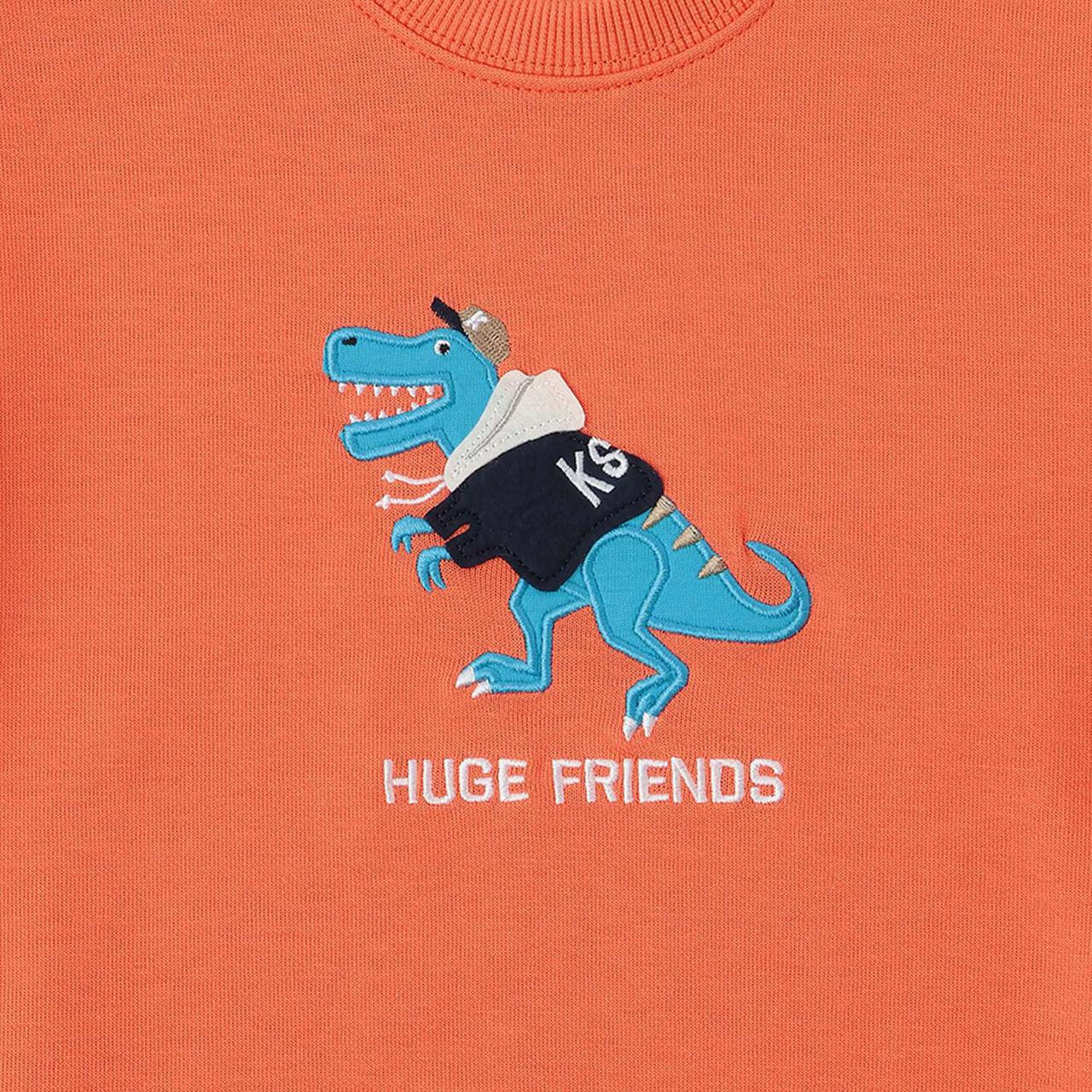 Hoodie Dinosaur Sweatshirt,Orange, large image number 3