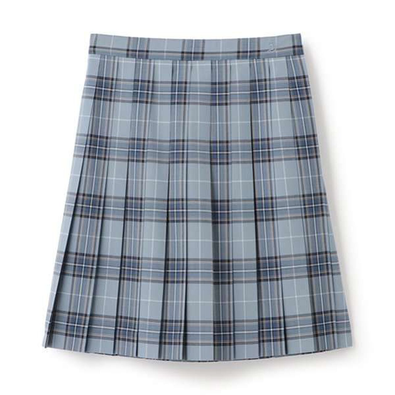 *TW Pleated Check Skirt,Blue, large image number 3