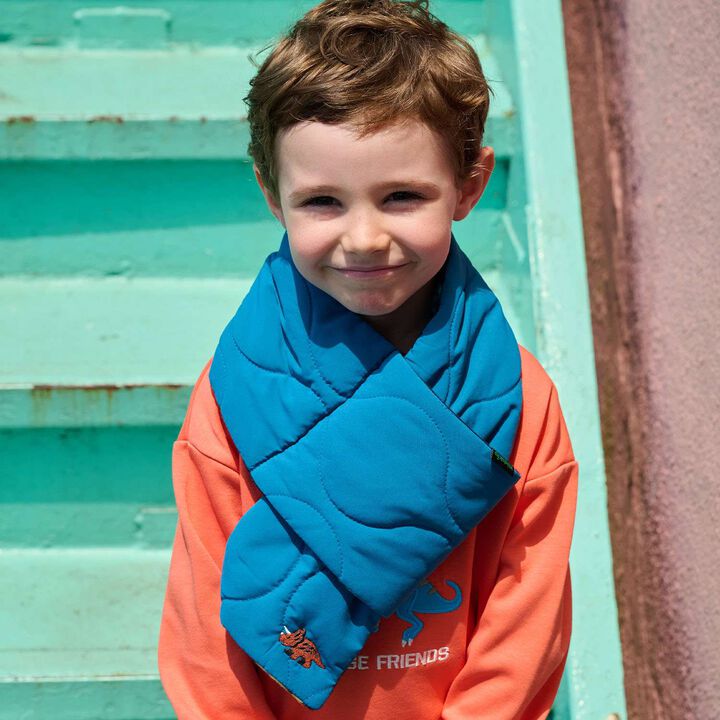 Dinosaur Reversible Scarf,, medium