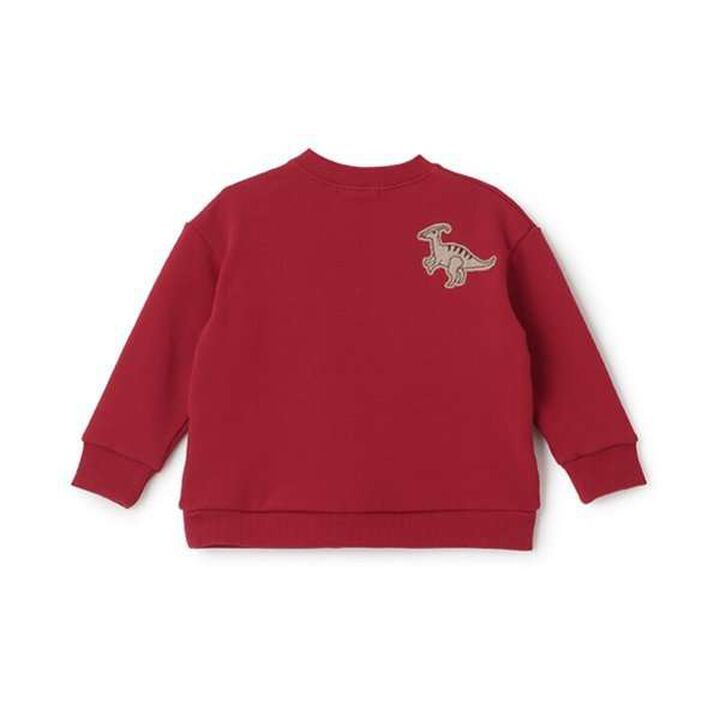 Dinosaur Appliqu&eacute; Side Pocket Sweatshirt,Milky white, medium image number 5