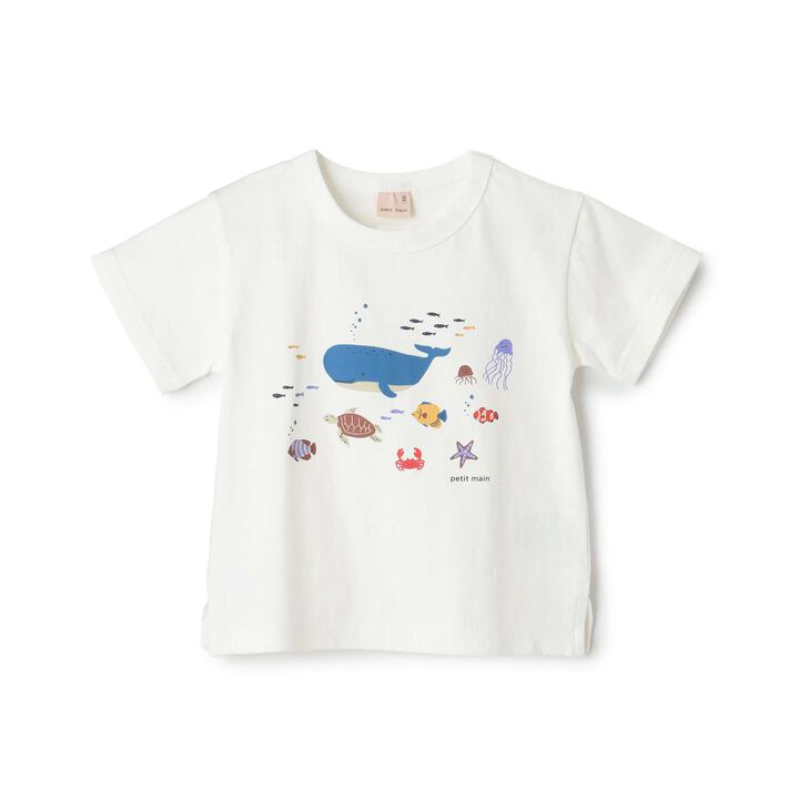 [Affordable] Boys Short Sleeve T-Shirt,Off white, medium image number 0