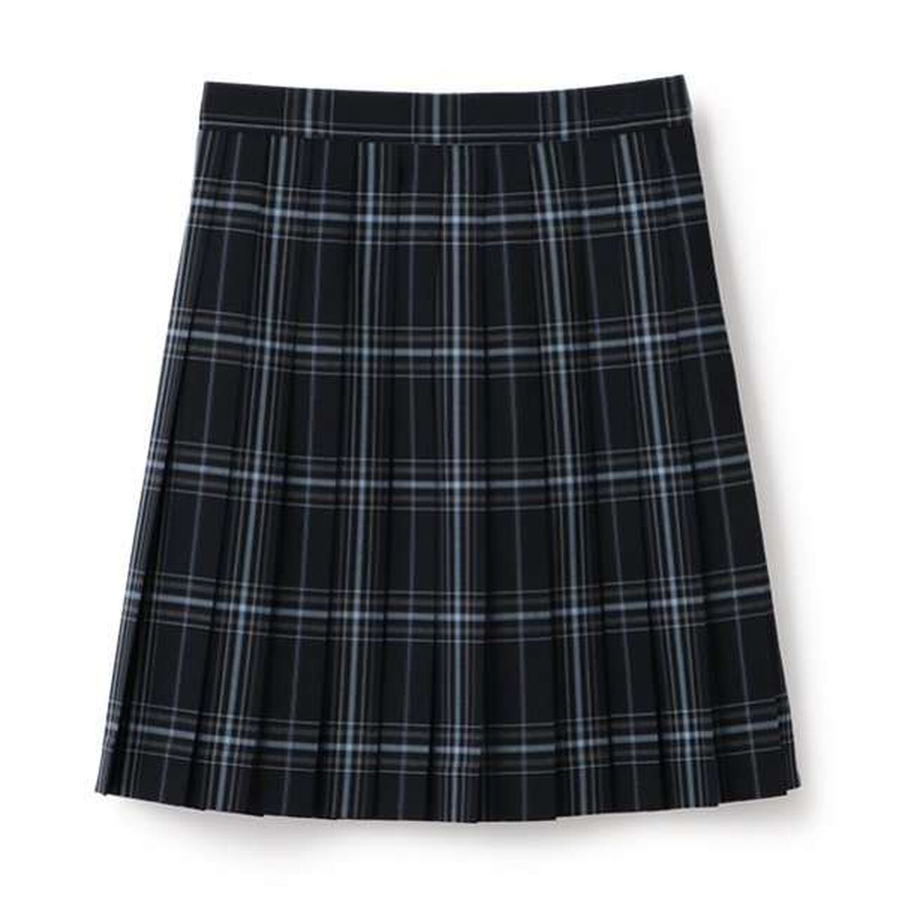 *TW Pleated Check Skirt,Blue, large image number 5