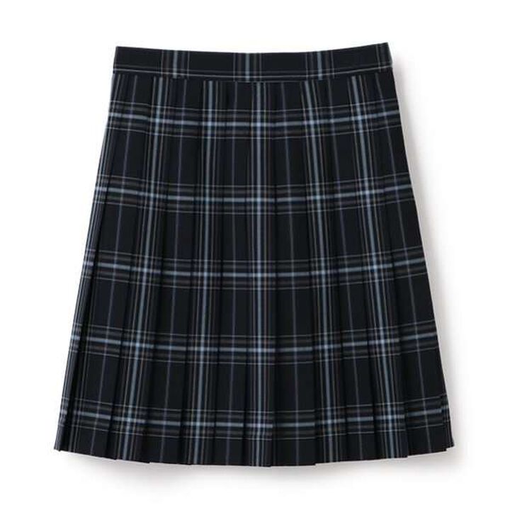 *TW Pleated Check Skirt,Blue, medium image number 5