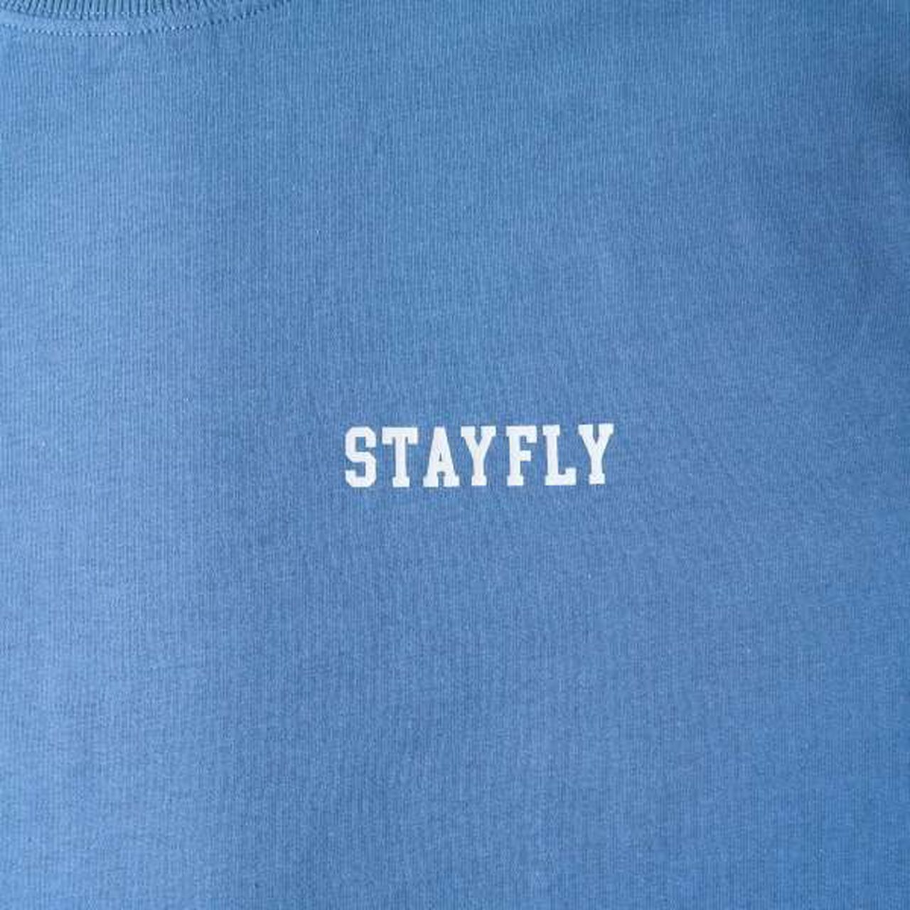 Sleeve Logo Print Long-Sleeve T-Shirt,Blue, large image number 2