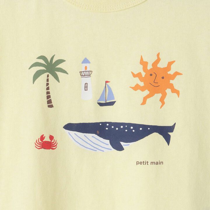 [Affordable] Boys Short Sleeve T-Shirt,Multi color, medium image number 8