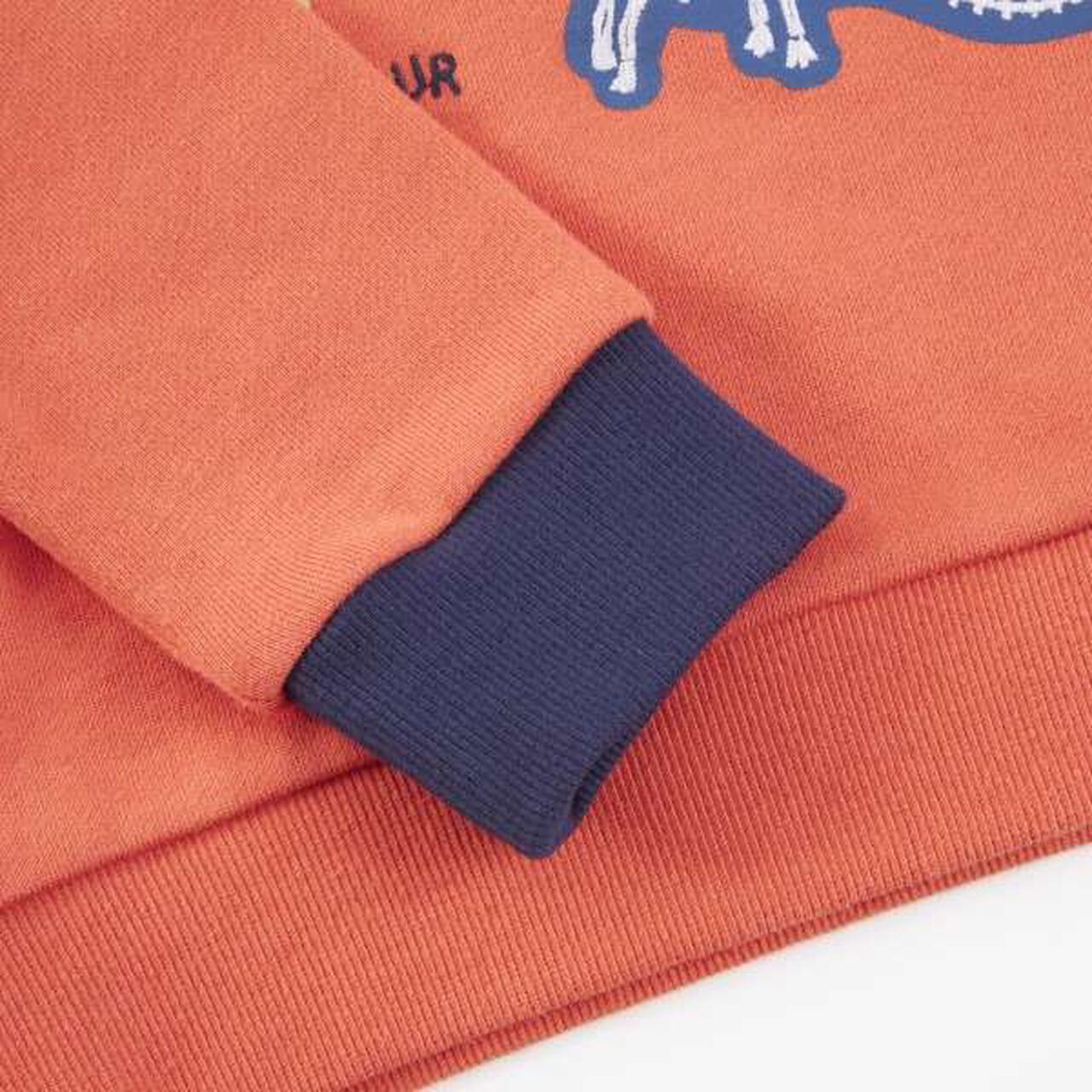 KP Boy Dinosaur Fossil Embroidered Sweatshirt [80-130],Blue, large image number 11