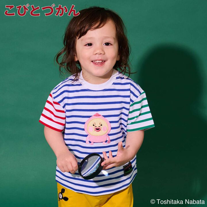 [Kobito Zukan] Stripe Pattern Short-Sleeve T-Shirt,, medium