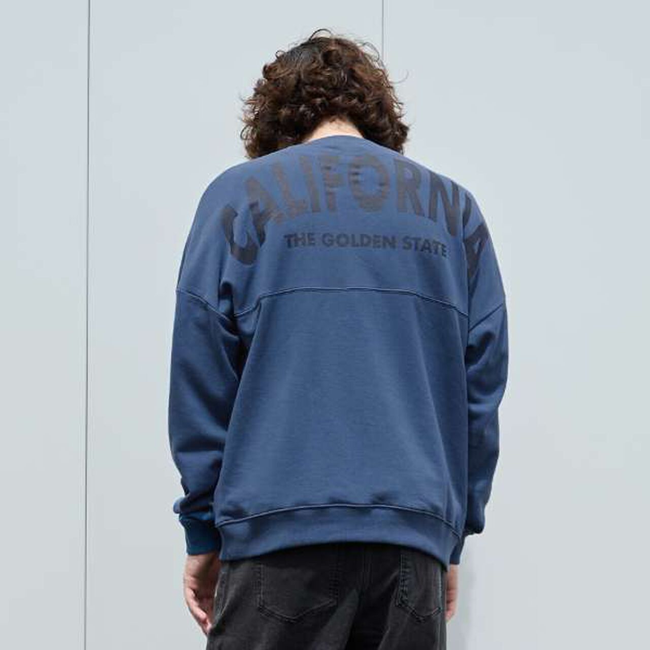 Pilling Resistant Durable Material Back Wide Logo Print Big Sweatshirt,Blue, large image number 0