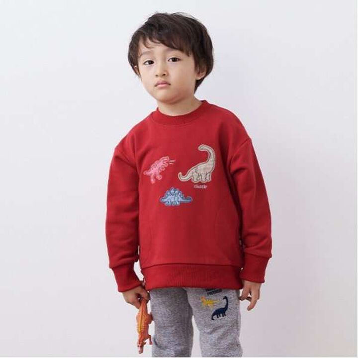 Dinosaur Appliqu&eacute; Side Pocket Sweatshirt,Milky white, medium image number 13