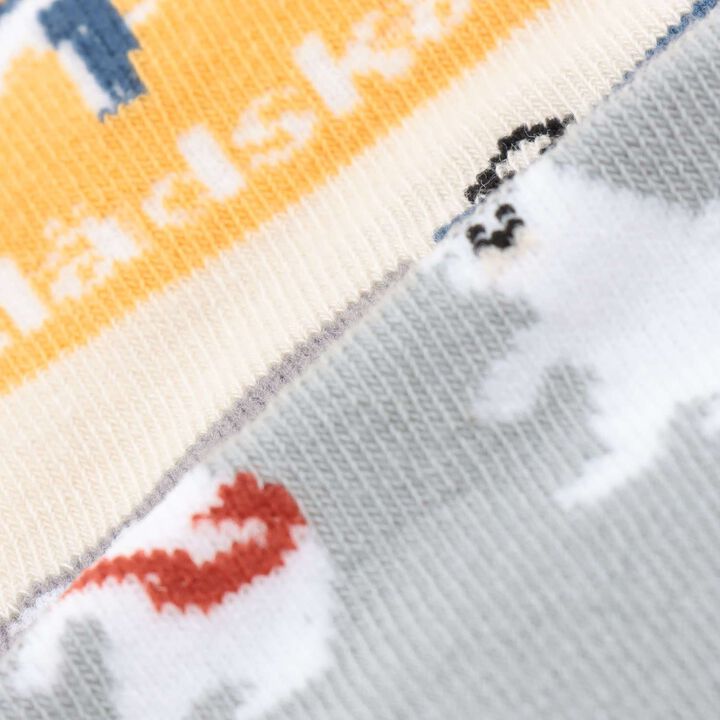 [Restock] Sky and Train Journey Crew Socks,Blue green, medium image number 4