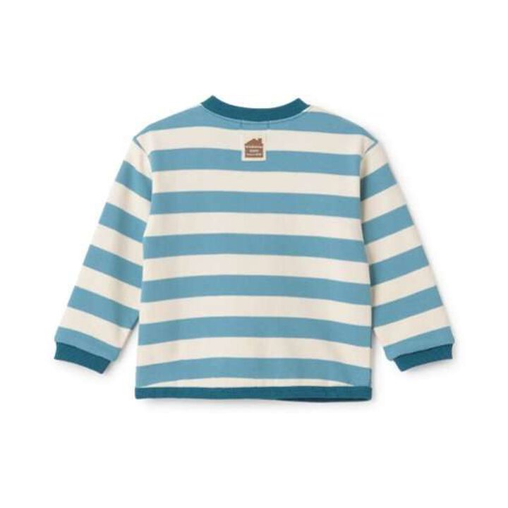 Animal Stripe Pattern Sweatshirt with Pocket,Light blue, medium image number 5