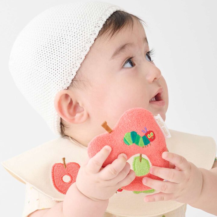 [Hungry Caterpillar] Fruit Rattle,, medium