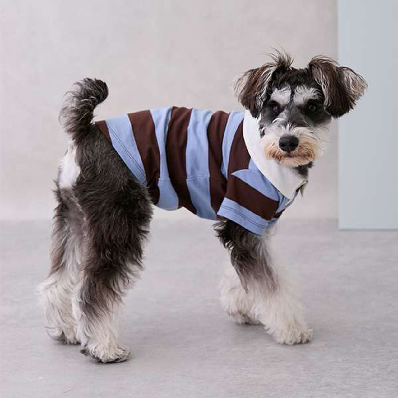 [DOG] Rugby Shirt,Beige, large image number 1