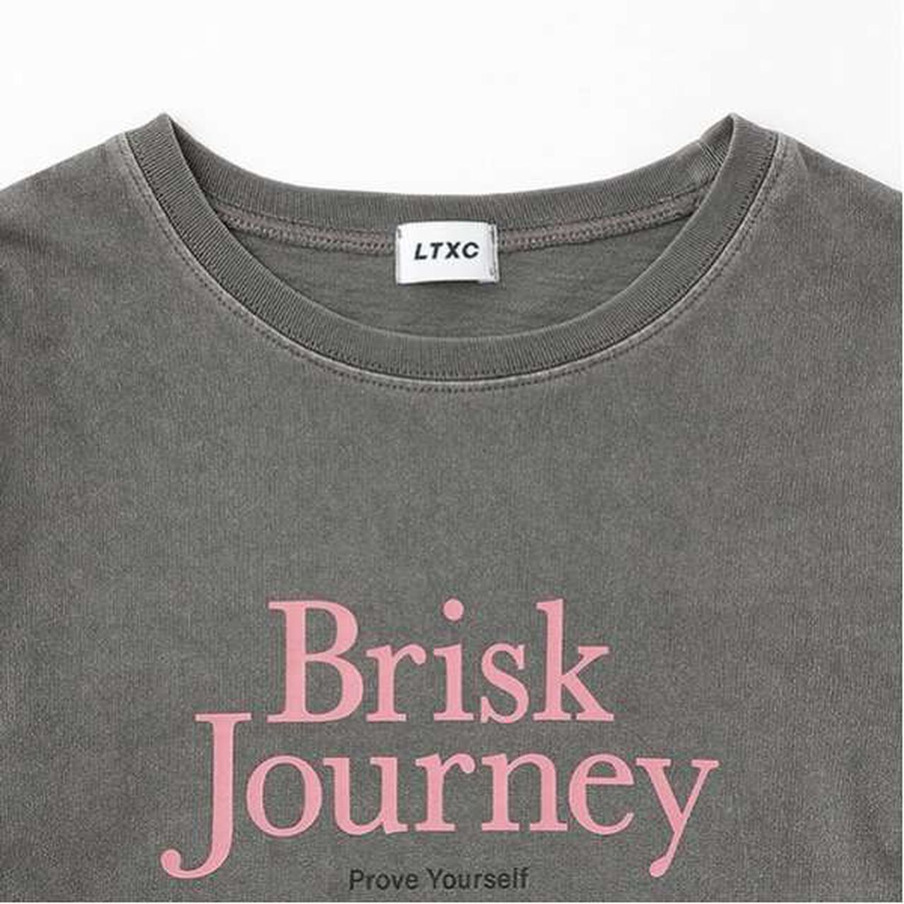 LTXC - Pigment Mini T-Shirt,Charcoal gray, large image number 8