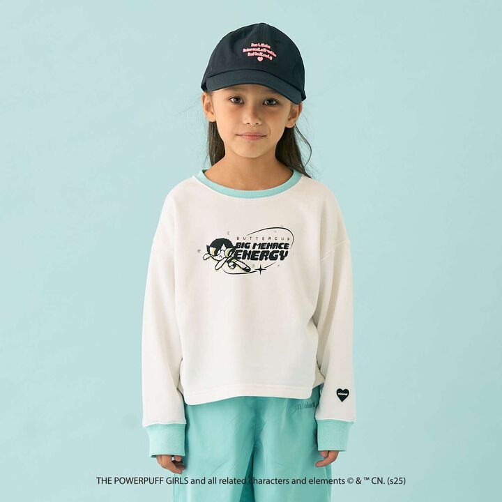 [Anti-Stain Finish] Powerpuff Girls Assorted Fleece Characters,, medium