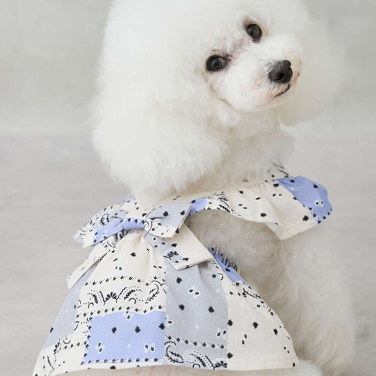 [Link][DOG] Shoulder Frill Dress,Light beige, large image number 2