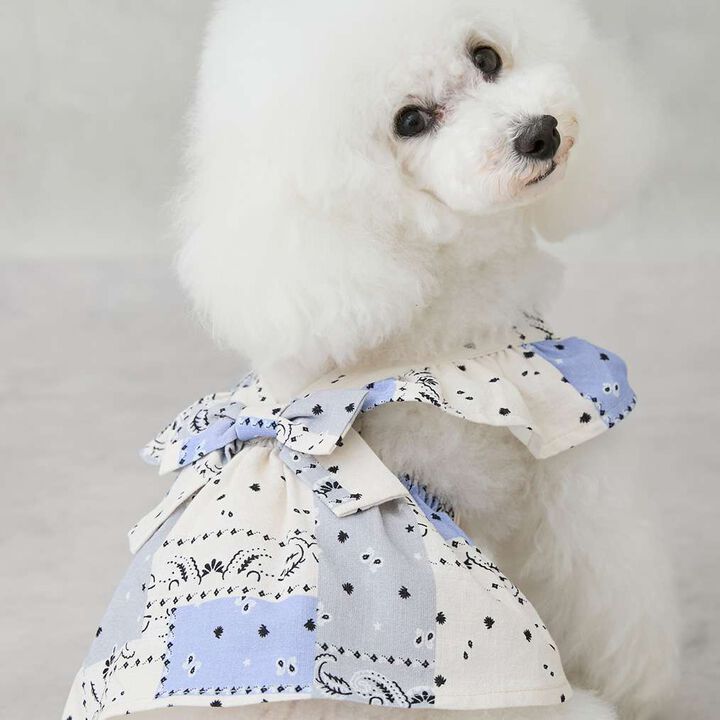 [Link][DOG] Shoulder Frill Dress,Light beige, medium image number 2