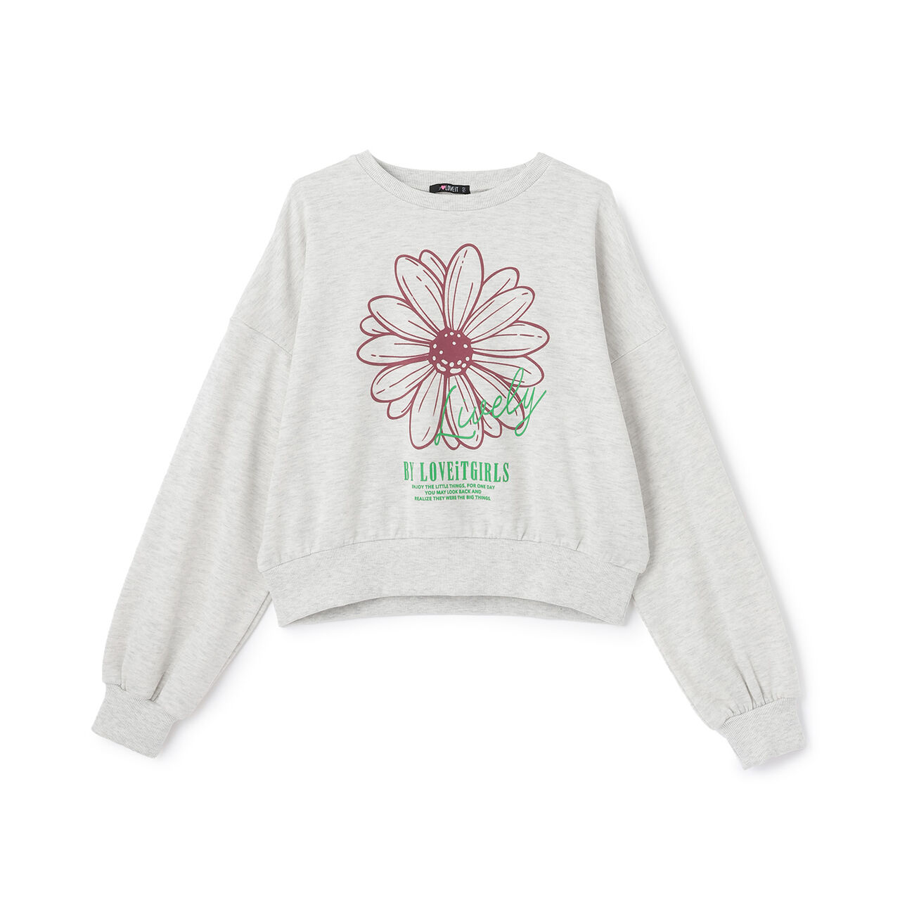 Flower Flock Pullover,Charcoal gray, large image number 5