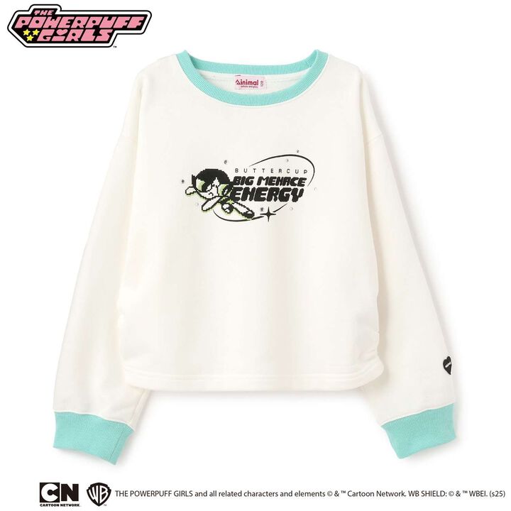 [Anti-Stain Finish] Powerpuff Girls Assorted Fleece Characters,Light green, medium image number 13
