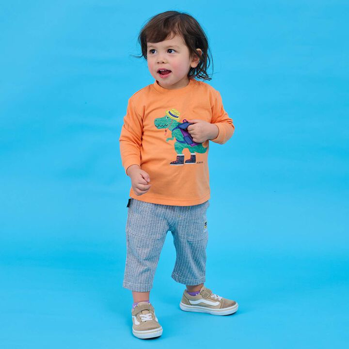 Train Stripe 6/10 Length Pants,Sax blue, medium image number 13