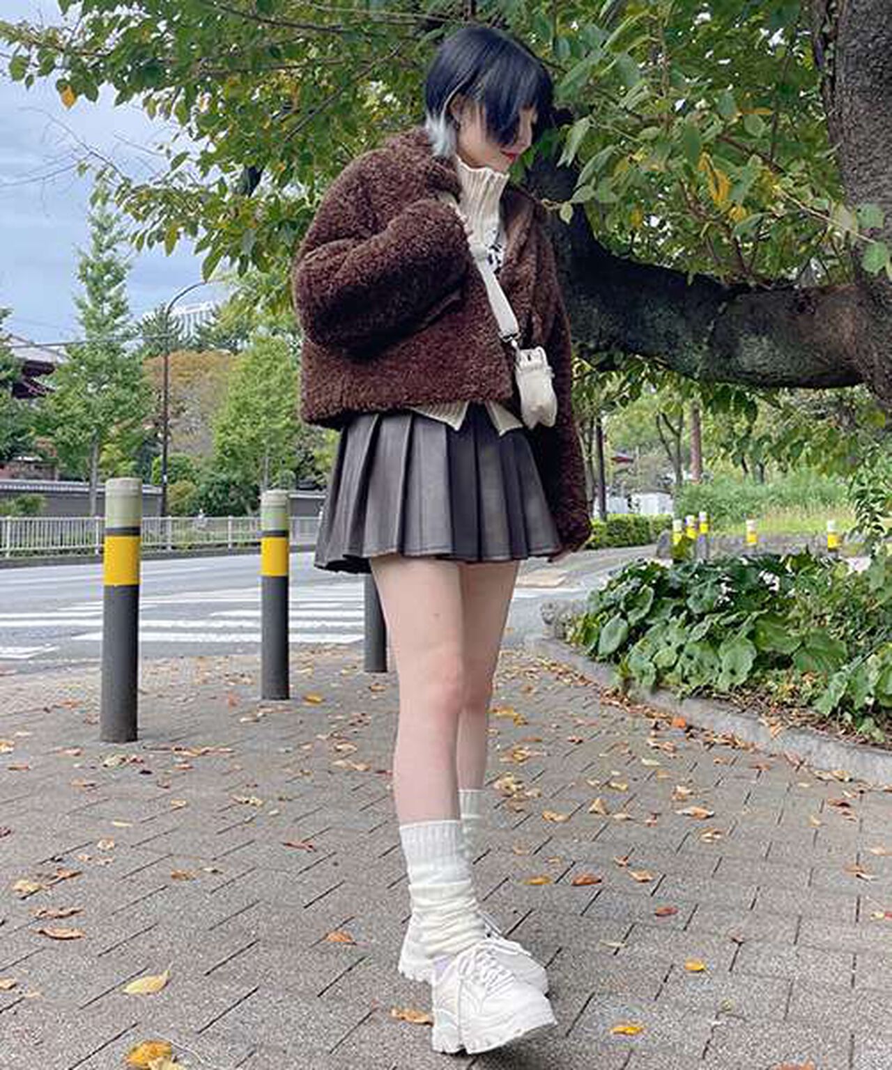 Poodle Faux Fur Coat,Brown, large image number 3