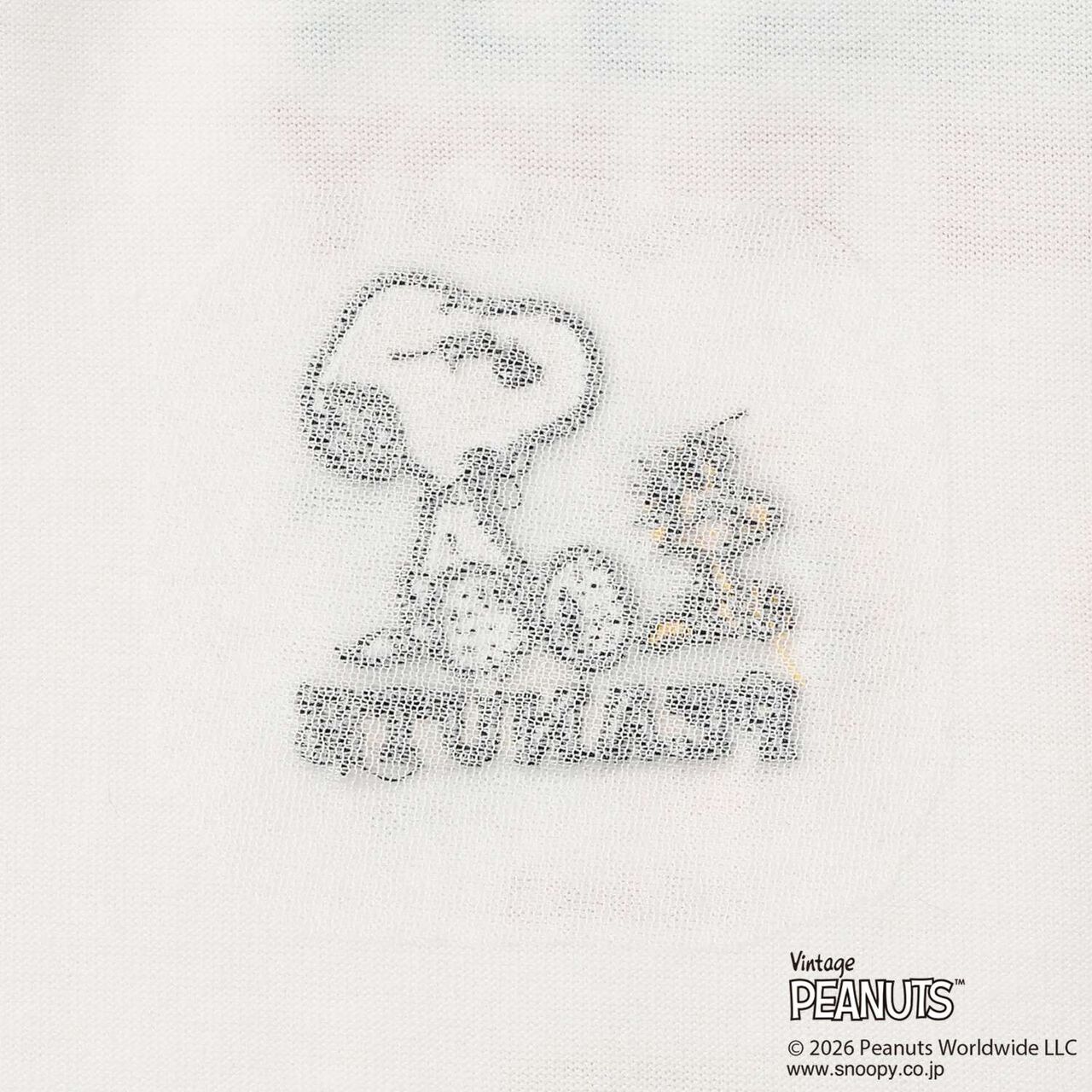 [SNOOPY] Raglan T-Shirt,Navy, large image number 12