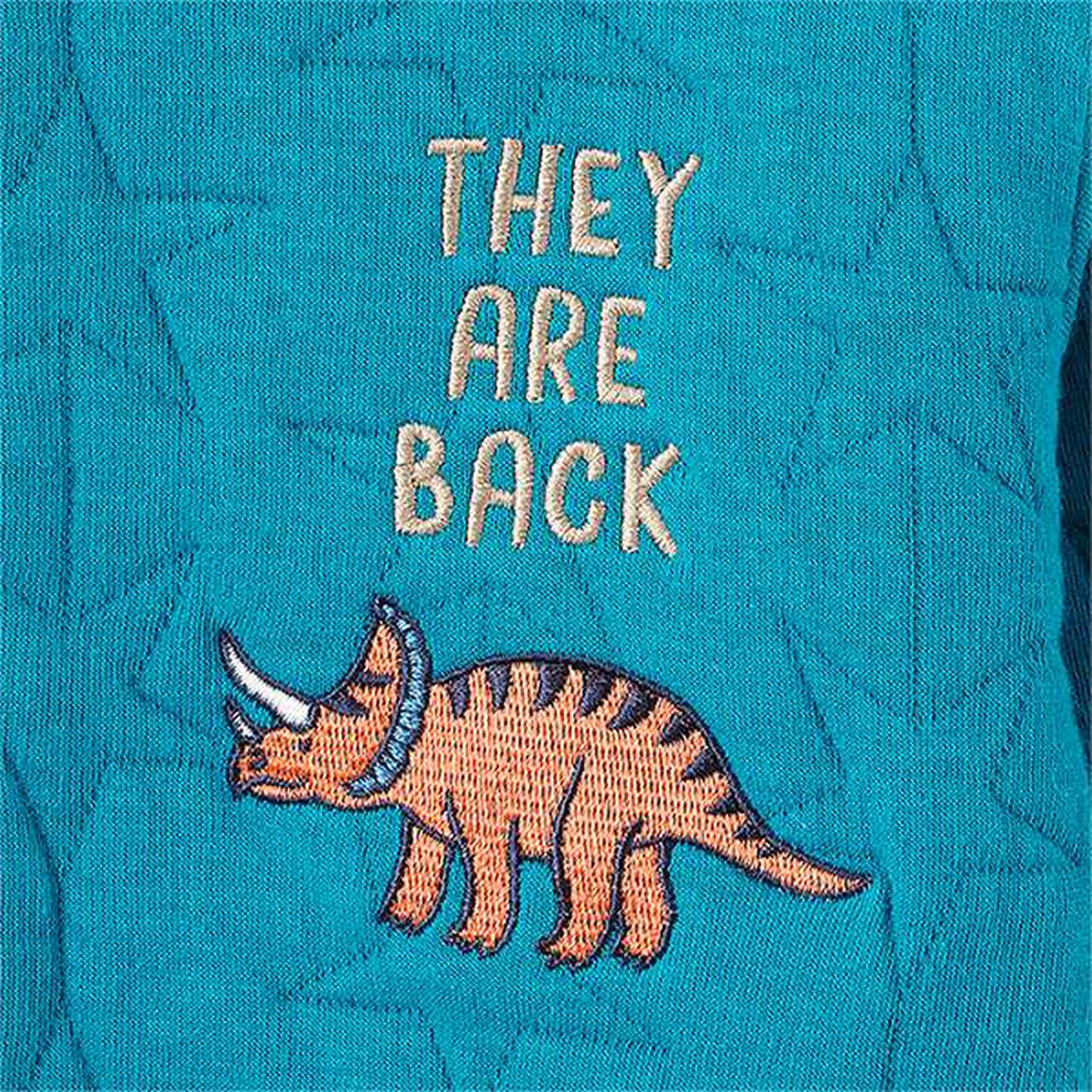 Dinosaur Embroidered Quilted Sweatshirt,Light beige, large image number 9