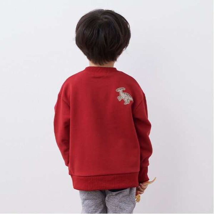 Dinosaur Appliqu&eacute; Side Pocket Sweatshirt,Milky white, medium image number 3