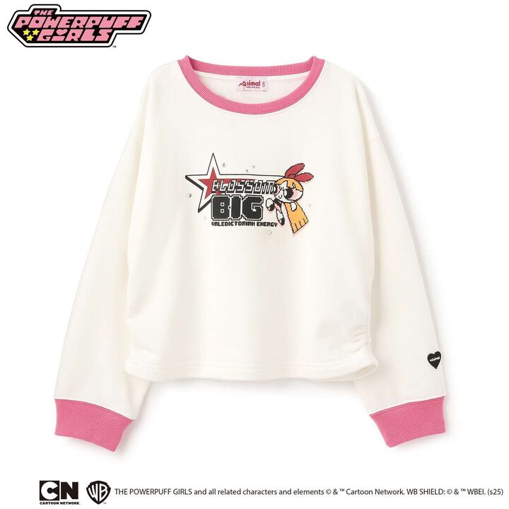 [Anti-Stain Finish] Powerpuff Girls Assorted Fleece Characters,Light green, medium image number 15