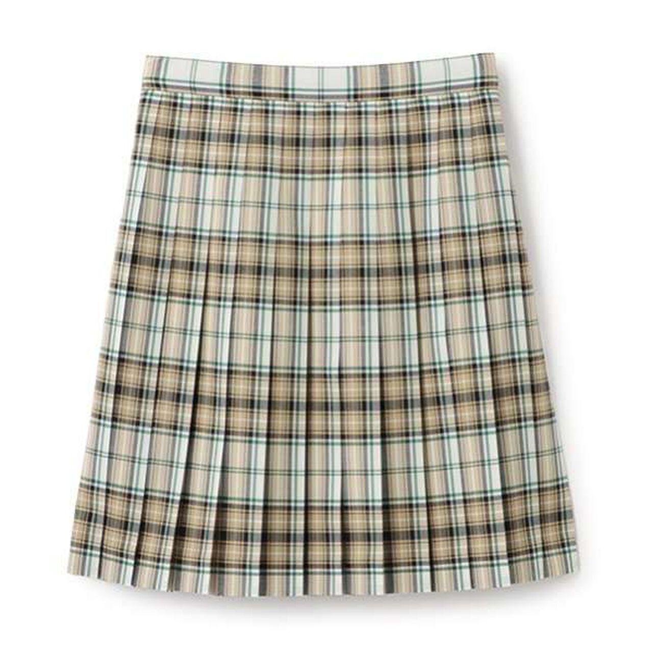 *TW Pleated Check Skirt,Blue, large image number 1