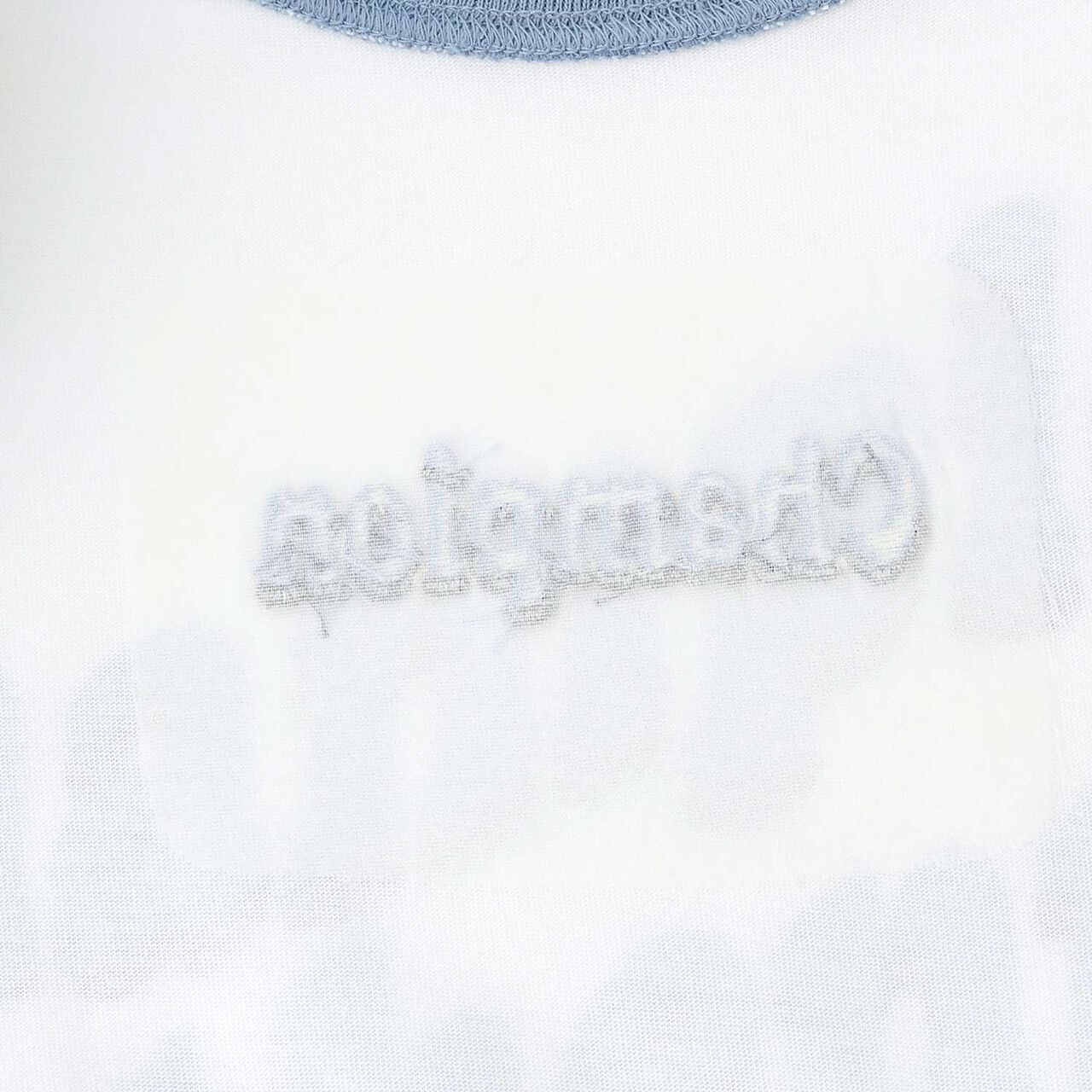 [Champion] 100% Cotton Raglan Long Sleeve T-Shirt,Green, large image number 15