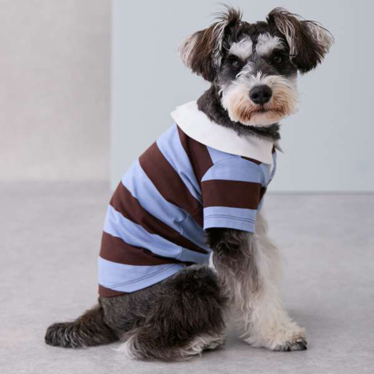 [DOG] Rugby Shirt,Beige, large image number 14