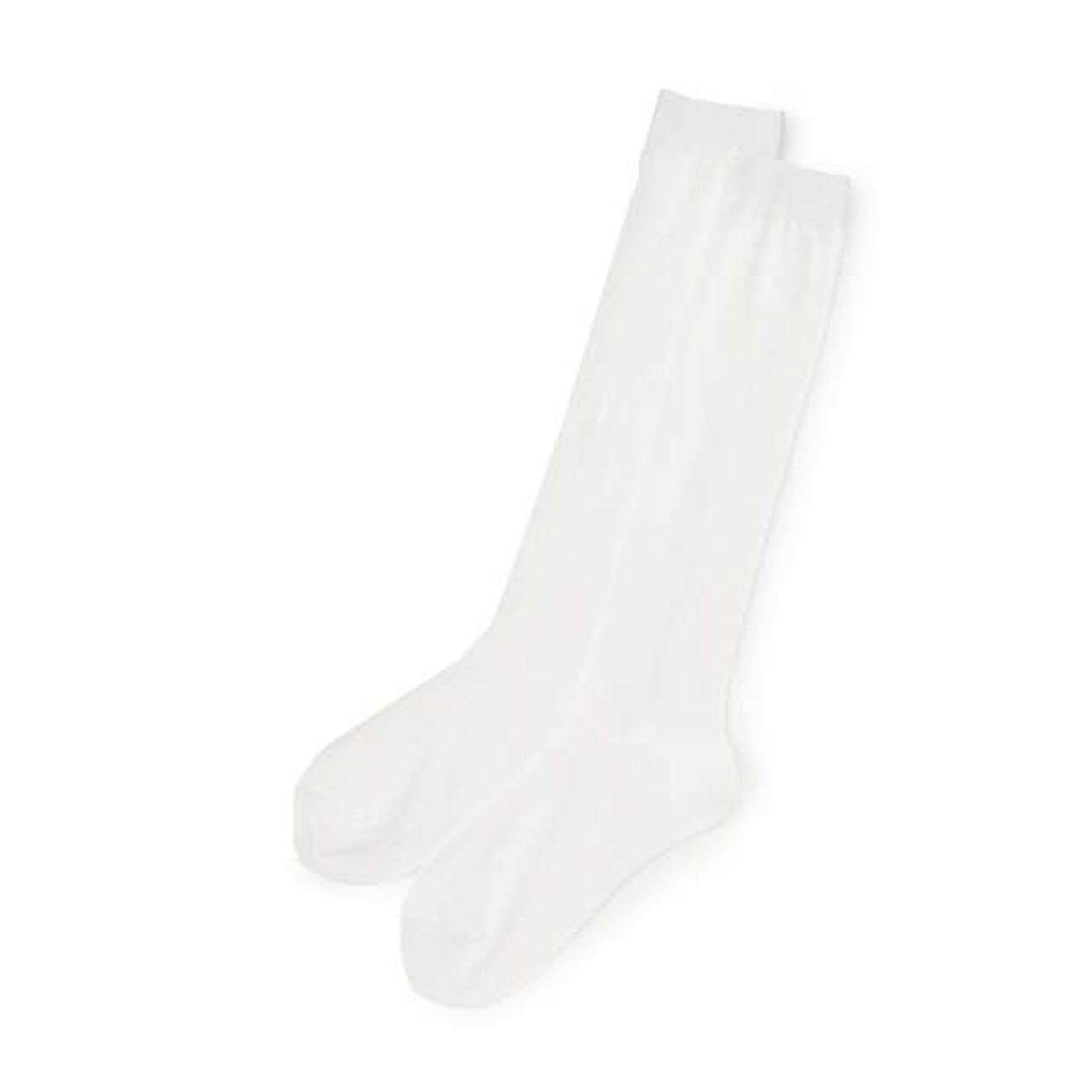 Nylon Knee-High Socks,Black, large image number 4