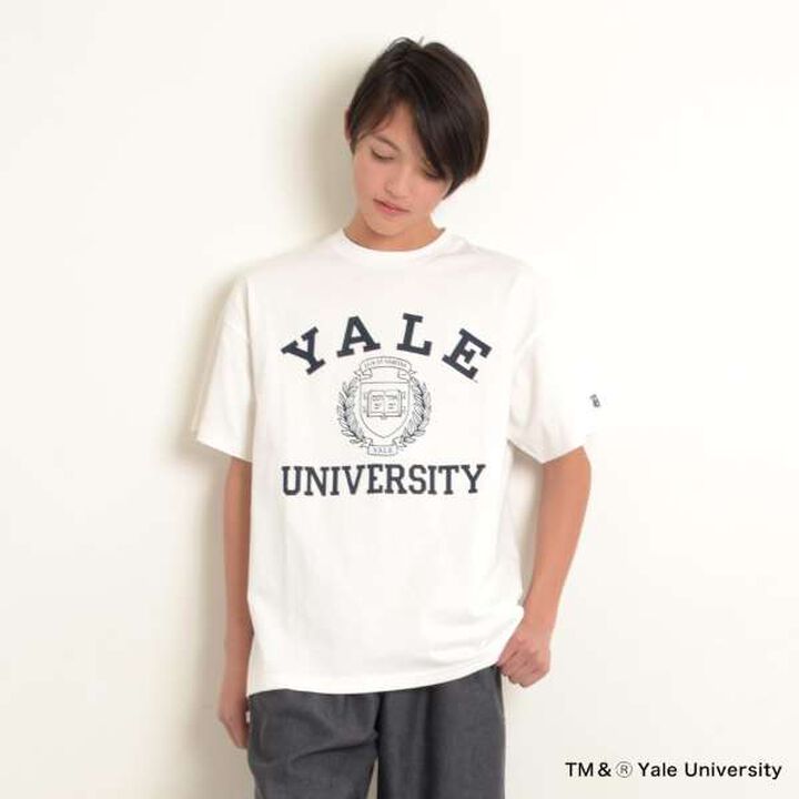 [Adult Size Available] [YALE] Cotton Short-Sleeve College Printed T-Shirt,, medium