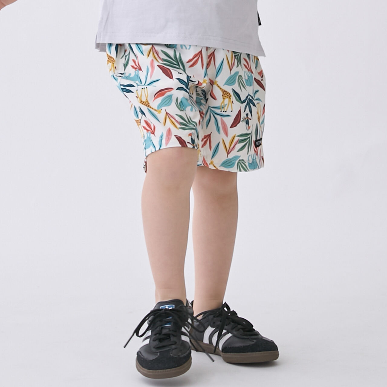 Land and Water Use Half Pants,Striped, large image number 8