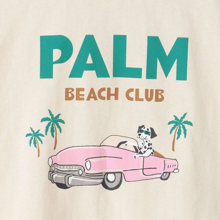 [Affordable] Boys Short Sleeve T-Shirt,Multi color, medium image number 6