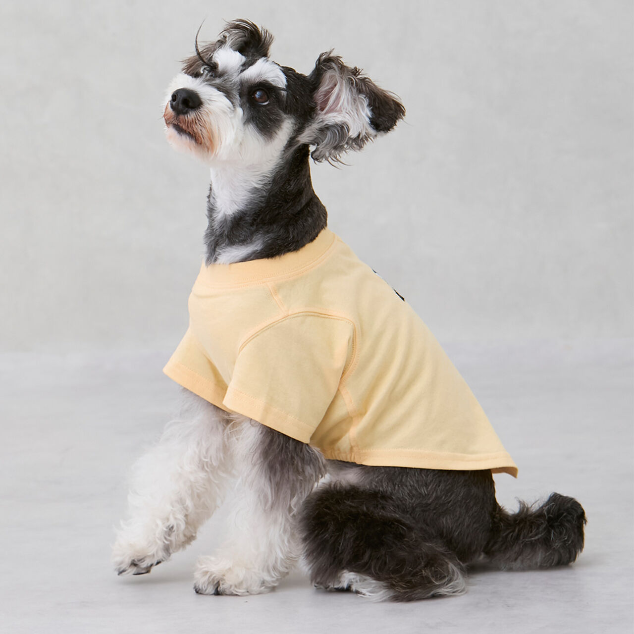 [Link][DOG] Cool Touch Embroidered Short Sleeve T-Shirt,Light green, large image number 1