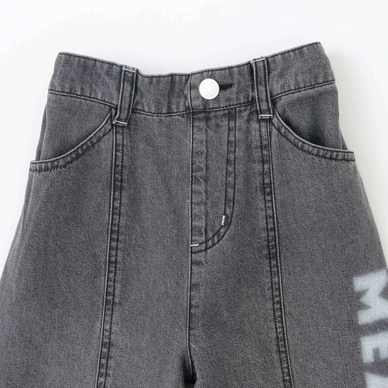 Wide Denim Pants with Logo Print,Gray, large image number 2