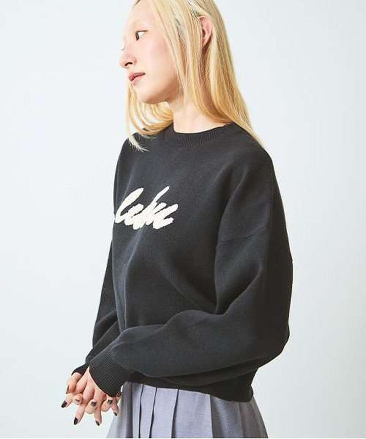 Embroidered Logo Knit Pullover,Ivory, medium image number 12