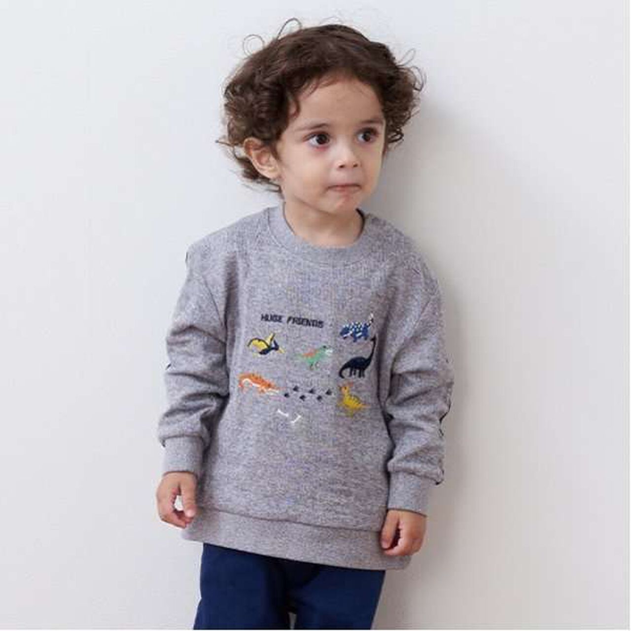 Dinosaur Embroidery Sleeve Line Long-Sleeve T-Shirt,Gray, large image number 0