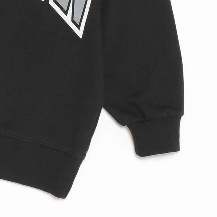 [Link] College Logo Raglan Sleeve Sweatshirt,Gray, medium image number 4