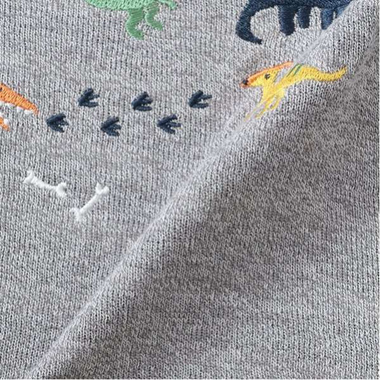 Dinosaur Embroidery Sleeve Line Long-Sleeve T-Shirt,Gray, large image number 13