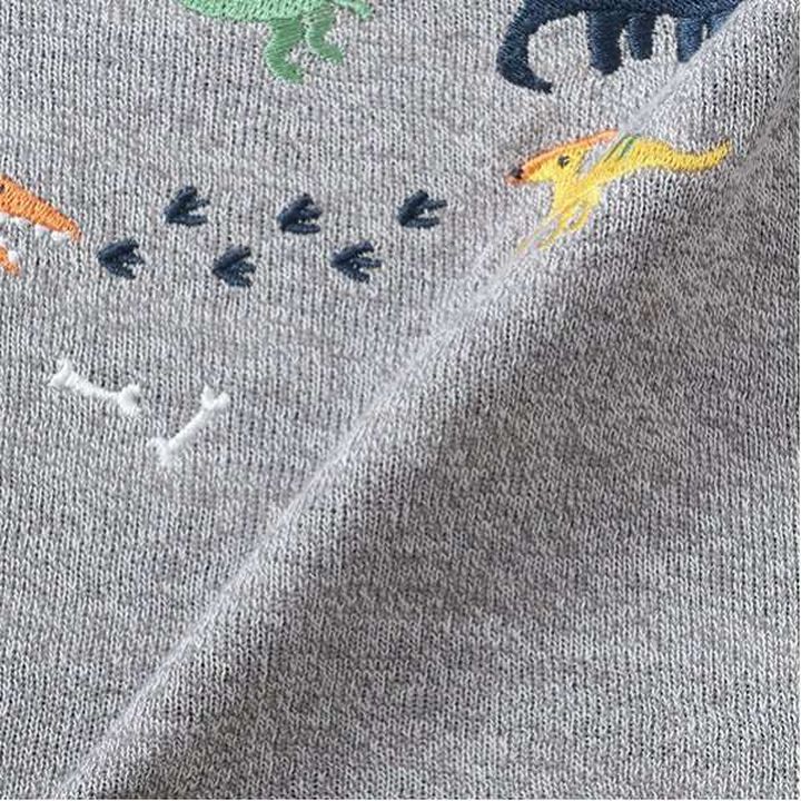 Dinosaur Embroidery Sleeve Line Long-Sleeve T-Shirt,Gray, medium image number 13