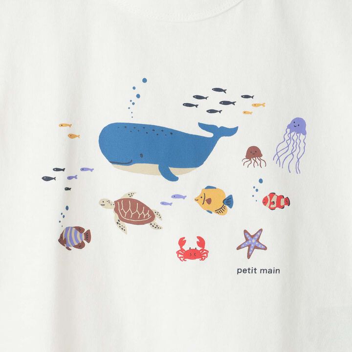 [Affordable] Boys Short Sleeve T-Shirt,Multi color, medium image number 7