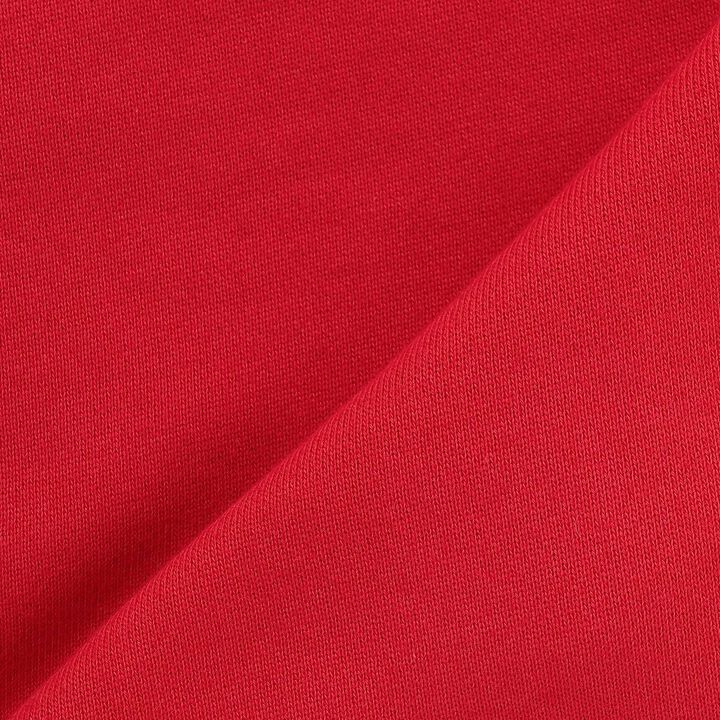 [Restock] Dinosaur Sagara Sweatshirt,Red, medium image number 7