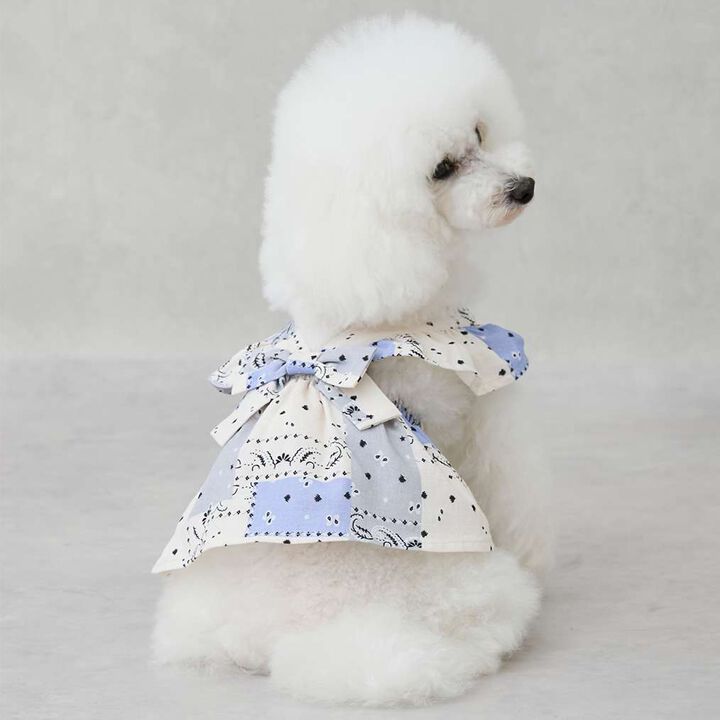 [Link][DOG] Shoulder Frill Dress,Blue, medium image number 0