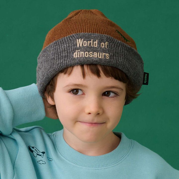 Dinosaur Beanie,, medium