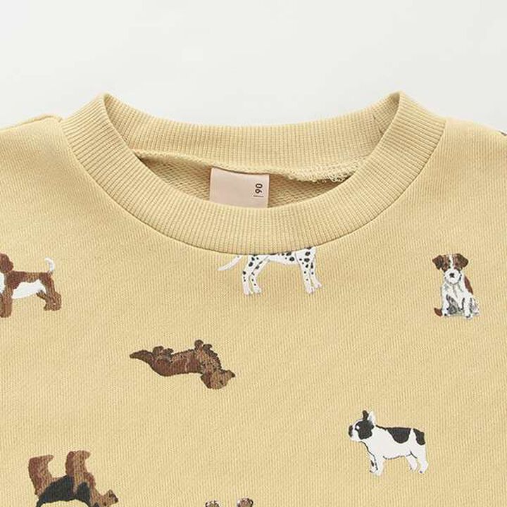 Affordable Boys Sweatshirt,Emerald green, medium image number 13