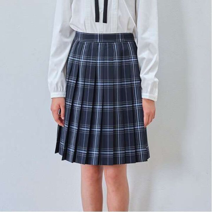 *52cm Length 24-Pleat Check Skirt,, medium